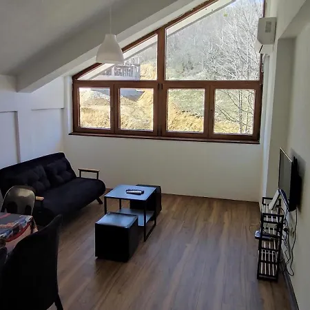 Apartment Mickey's Mavrovo